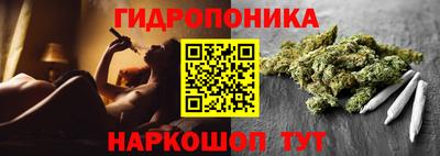 соль ск Ачхой-Мартан