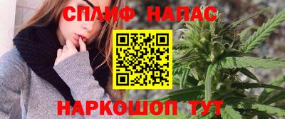 тгк Аша