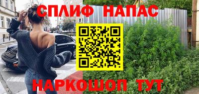 тгк Аша