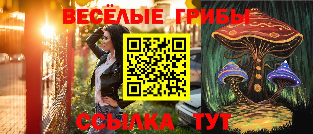 Псилоцибиновые грибы Magic Shrooms Дивногорск