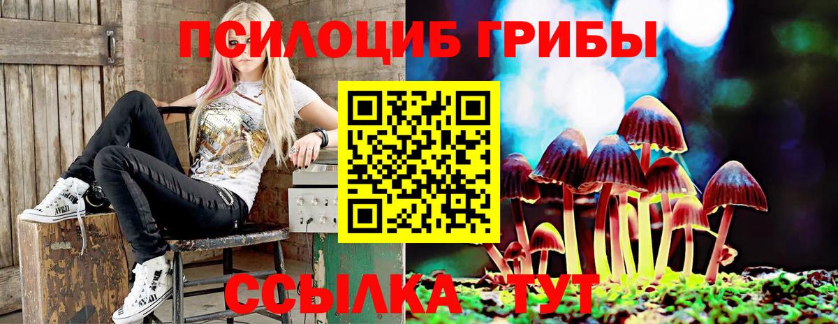 Дивногорск  Псилоцибиновые грибы мухоморы  Вход с VPN 